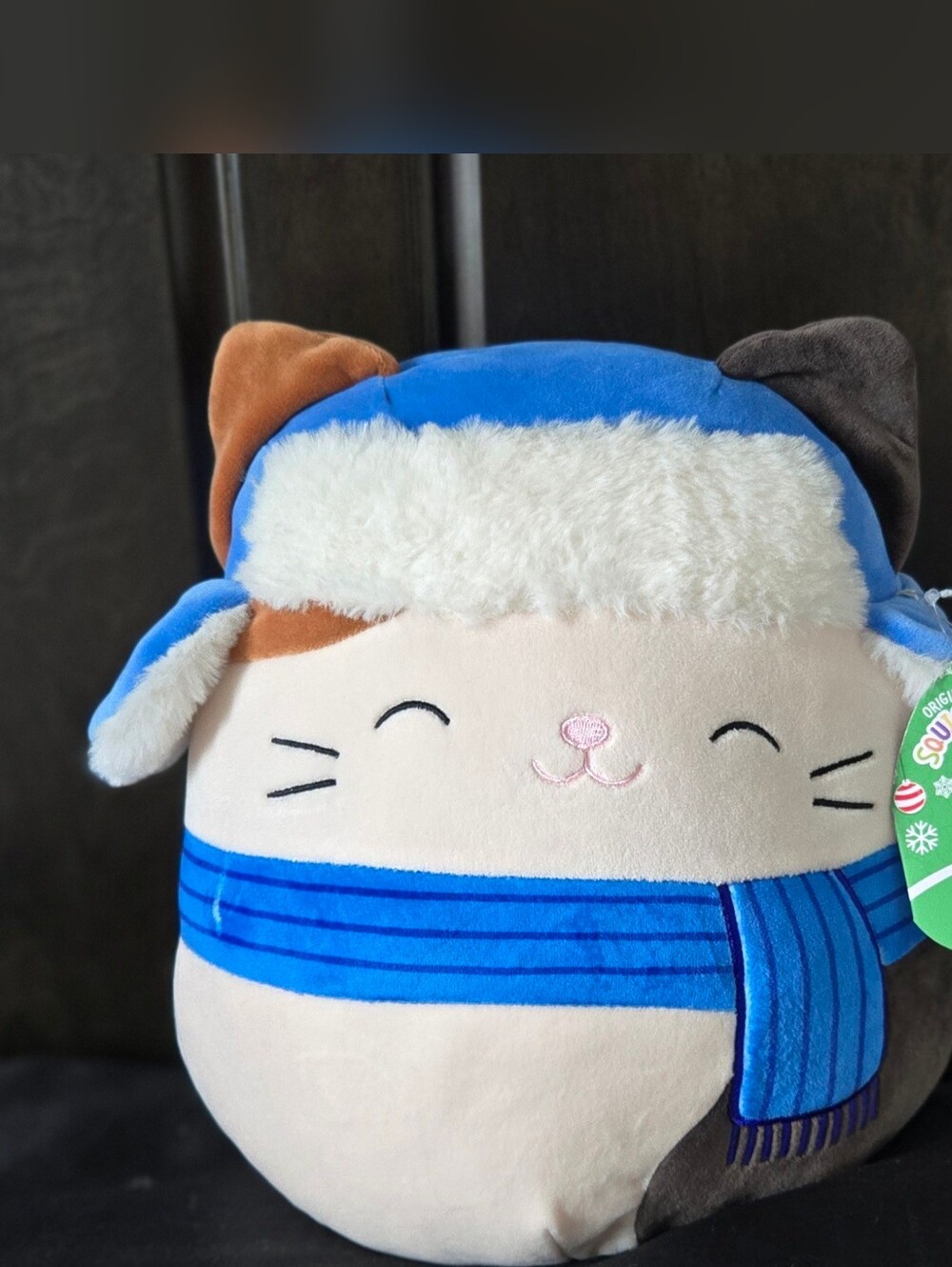 Winter/Holiday Squishmallow Cam
